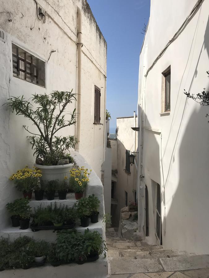 Villa Aurora B&B Bari Eksteriør billede